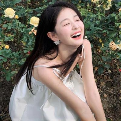 小迪克西